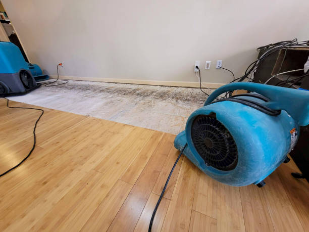 Professional Ceiling Water Damage Repair technician working in Danevang, TX